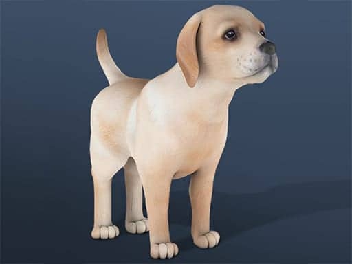 Screenshot van IDLE Pet