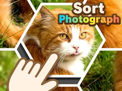 Screenshot van Sort Photograph