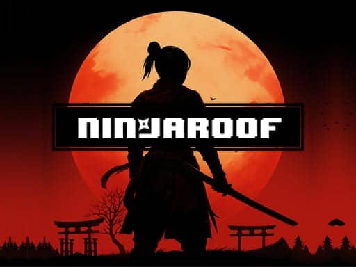 Screenshot van NinjaRoof
