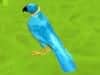 Screenshot van Parrot Simulator